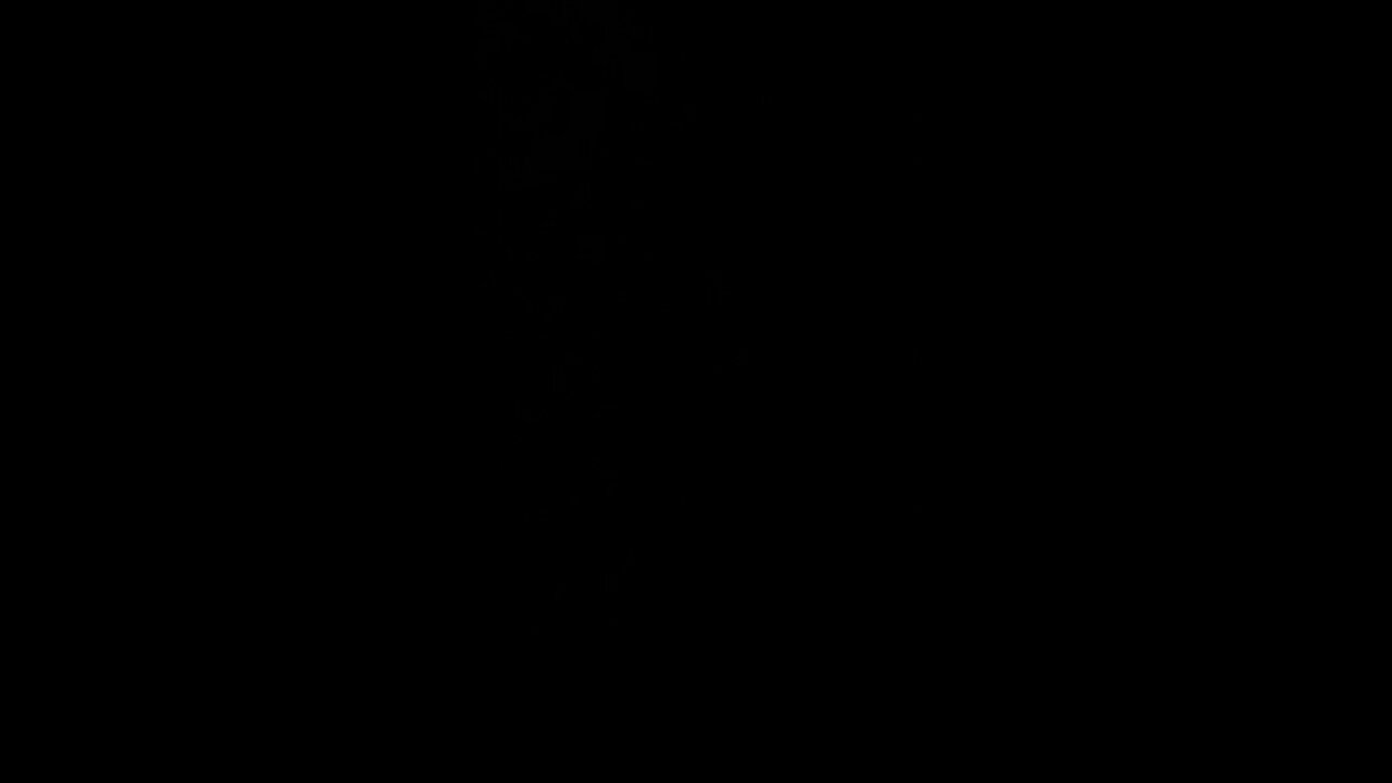 How to pronounce permit