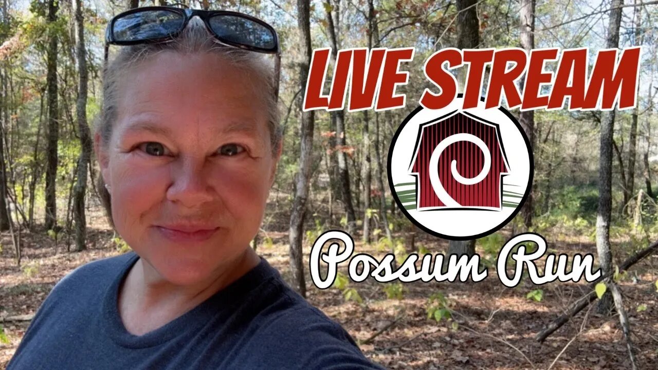 Let’s Do This Again! | Live Stream | Woman Builds Tiny House in the Woods