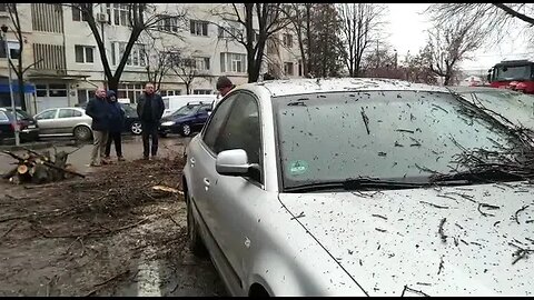 NEWS BUZAU Copac cazut peste maisni ian 2023