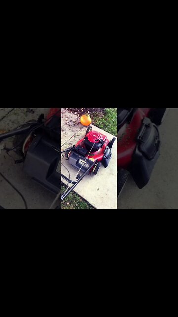 Only good thing about fall??? Last mow of the season. #HankHill I’m not. #Short #Shorts.