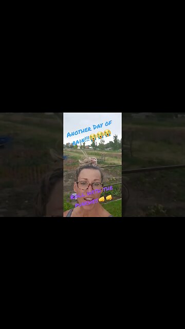 Another day of rain⛈️ #shortsvideo #garden # tips #rain #socialmedia #organic @TalkwithSally