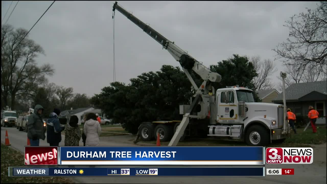 Durham Christmas Tree holds special meaning