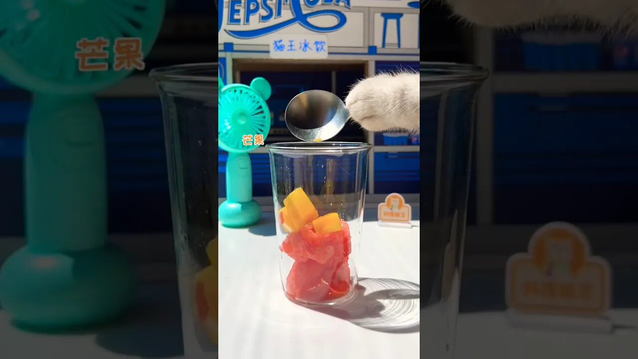 Cat With Juice 🥤🥤 #funny #reels #cat #cats #funnyvideo #shortvideo #shortsfeed #viral #comedy