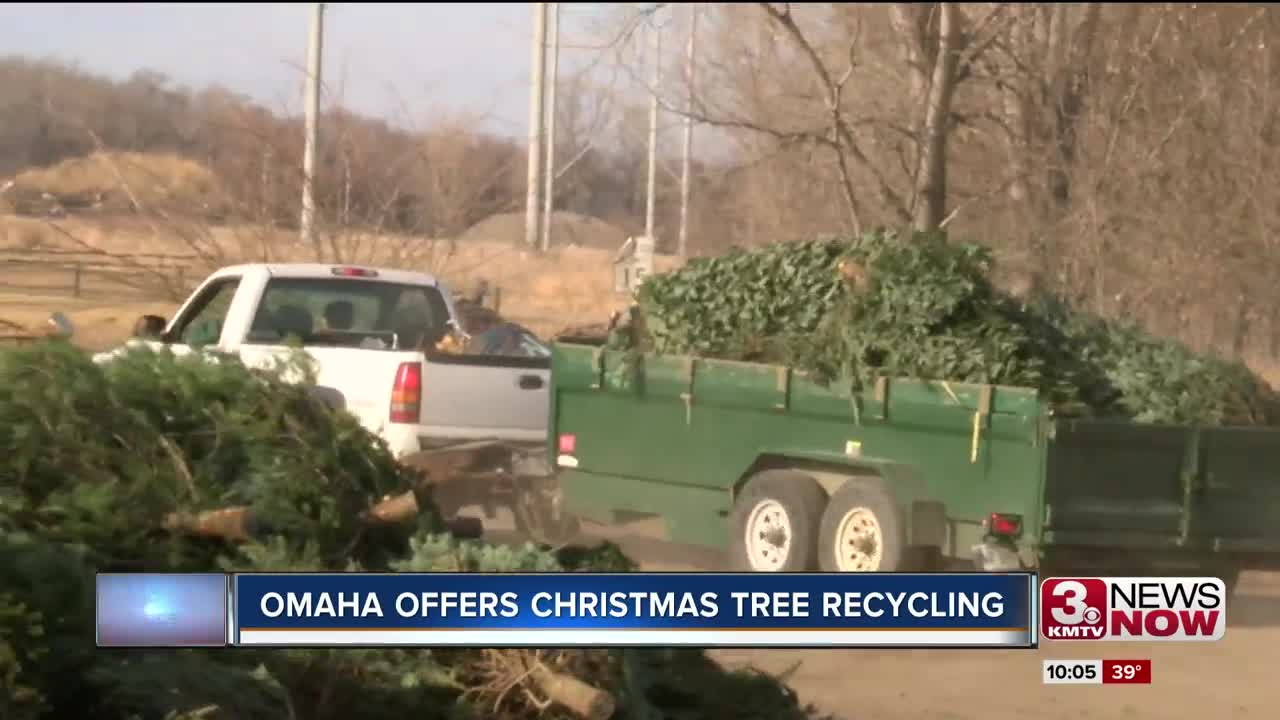 The city of Omaha offers Christmas tree recycling until Jan. 8th