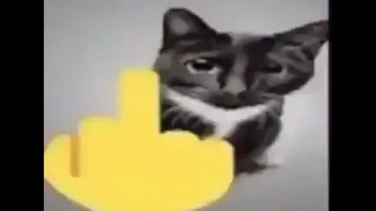 Soy milk 9