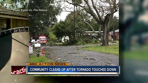 Cleanup after tornado in New Port Richey