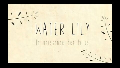 Water Lily