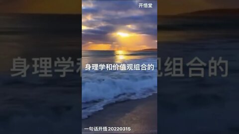 一句话开悟20220315