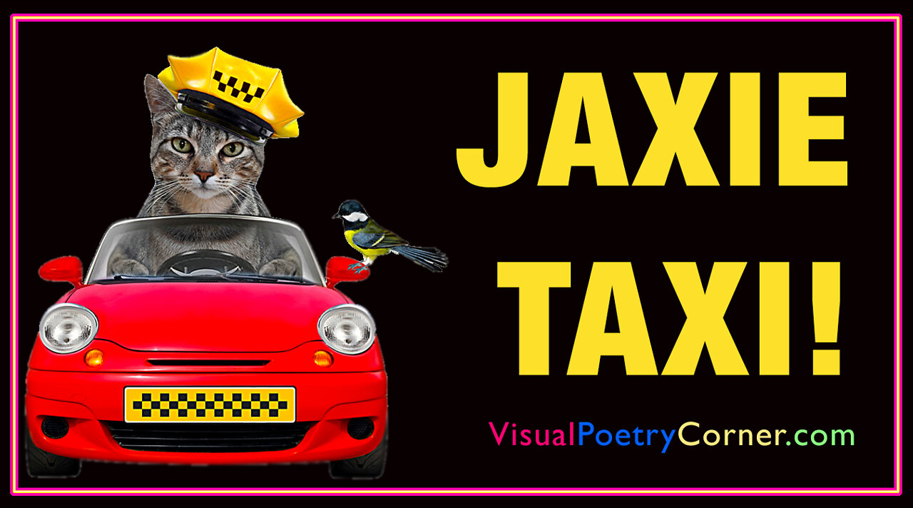 "Jaxie Taxi!"