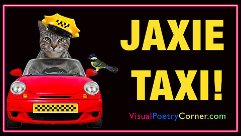 "Jaxie Taxi!"