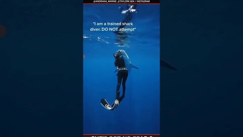 Woman encounters shark 🦈 😱 #shark #sharks #ocean #oceans #water #sea #nature #scary #crazy #yt