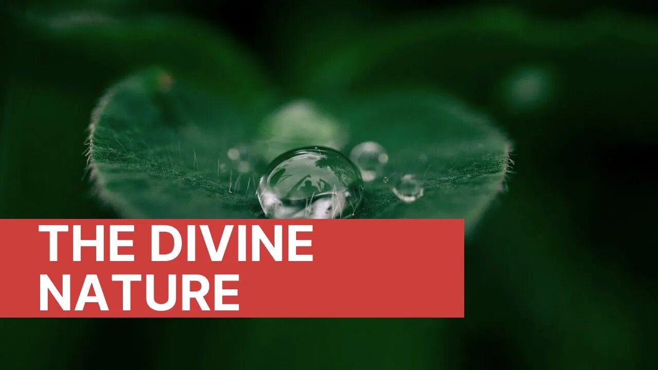 DIVINE NATURE -- Identifying with God