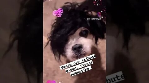 Green Day tribute gizmo