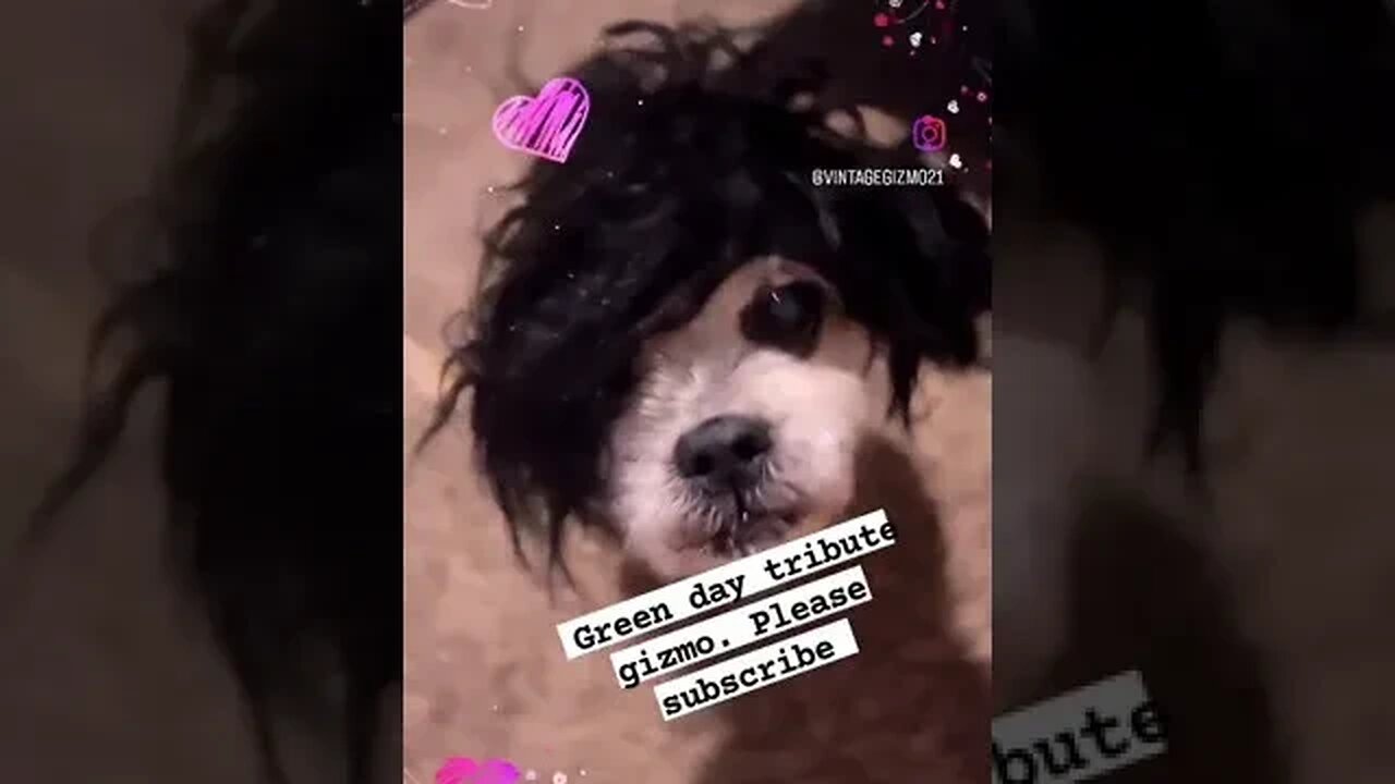Green Day tribute gizmo