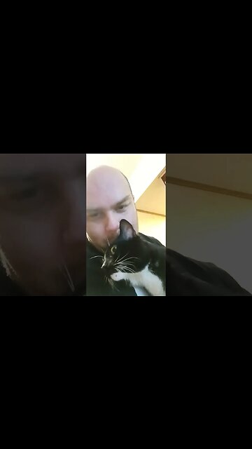 waiting with kitty #shortsfeed #kittycat #shortsvideo #kitty #youtubeshorts #catshorts