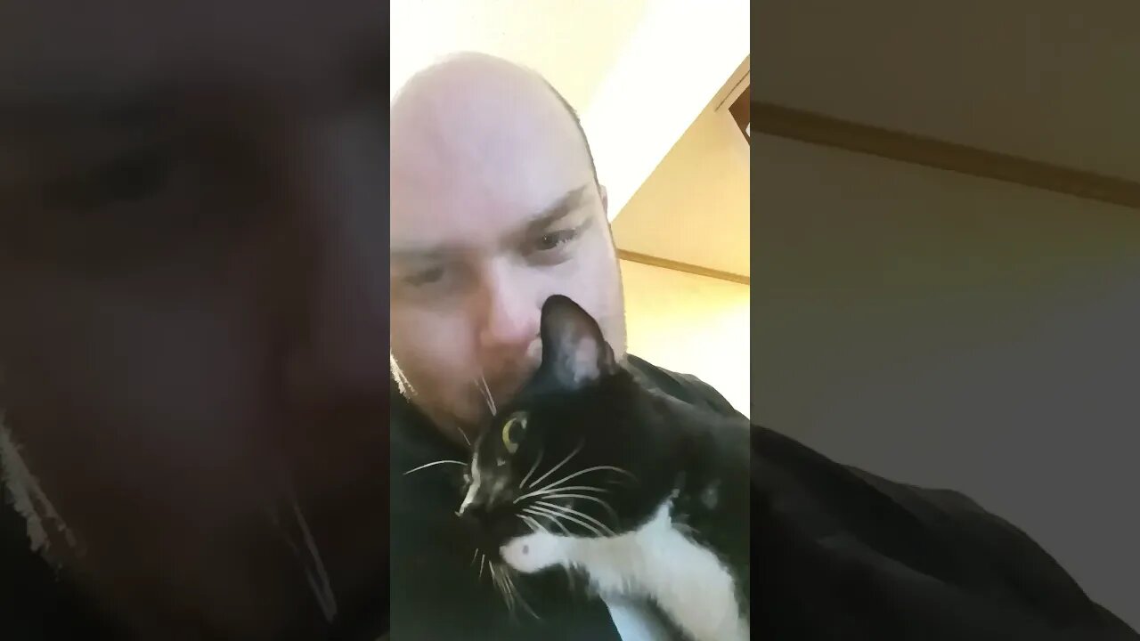waiting with kitty #shortsfeed #kittycat #shortsvideo #kitty #youtubeshorts #catshorts