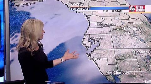 ABC ACTION WX FORECAST