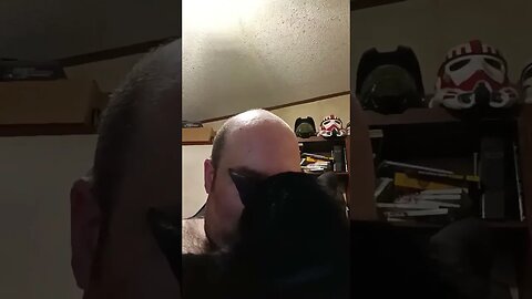 heart to heart with my cat #kittycat #shortsvideo #shortsfeed #kitty #youtubeshorts #catvideos #cat
