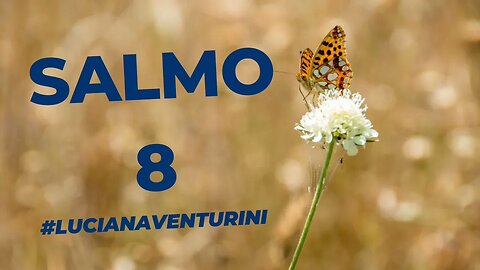 Salmo 8 O ser humando na criação #lucianaventurini #desenvolvimentopessoal #salmo