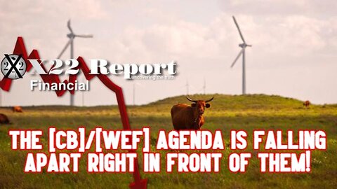 X22 REPORT SHOCKING: THE [CB]/[WEF] AGENDA IS FALLING APART RIGHT IN FRONT OF THEM!