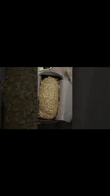 Surface Tension For Bread | Fresh Milled Flour Loaf