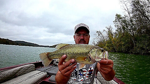 Mid Fall Fishing at Blue Marsh Lake