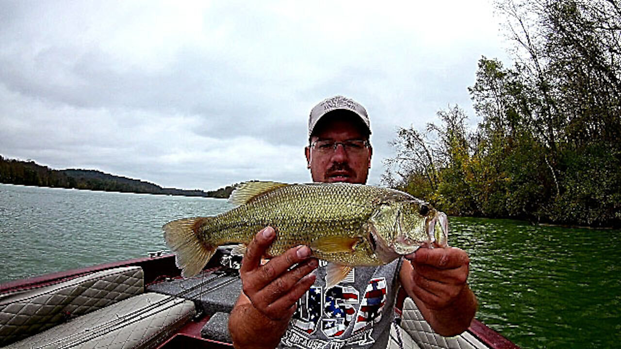 Mid Fall Fishing at Blue Marsh Lake