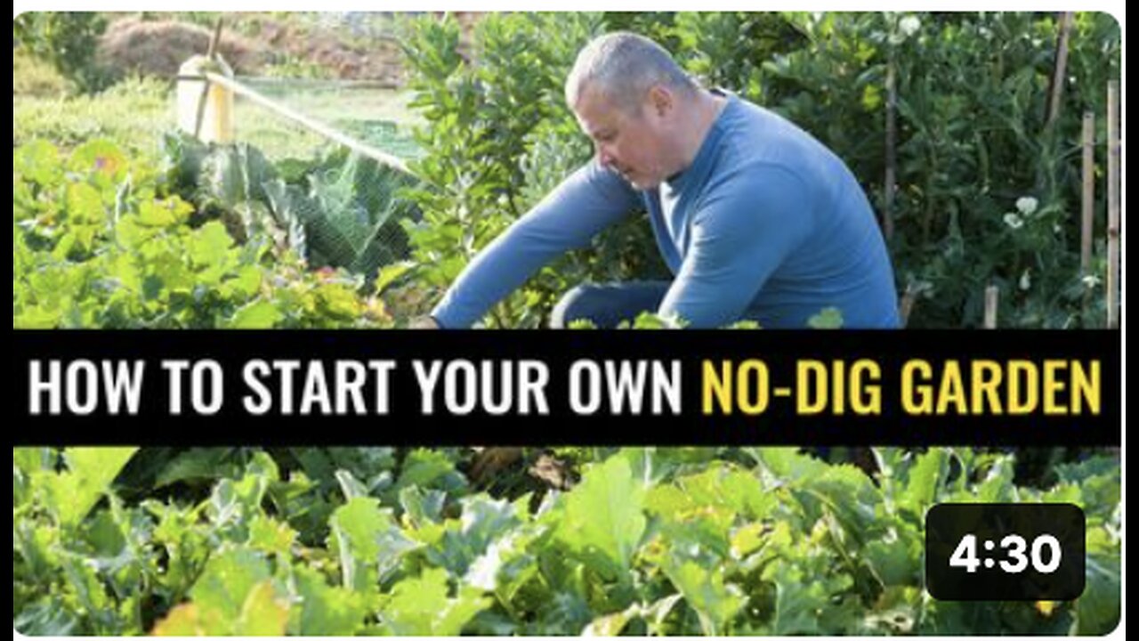 How to start your own no-dig garden