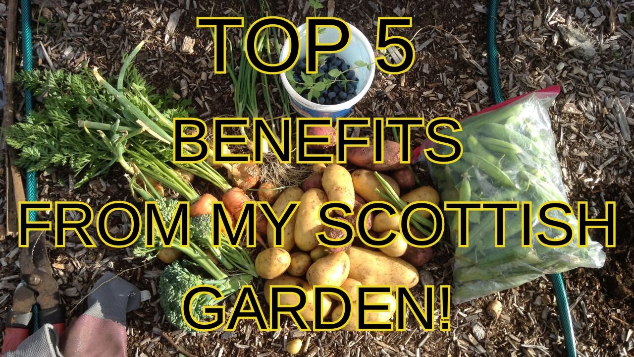 Top 5 Benefits I Get From My Scottish Garden!!