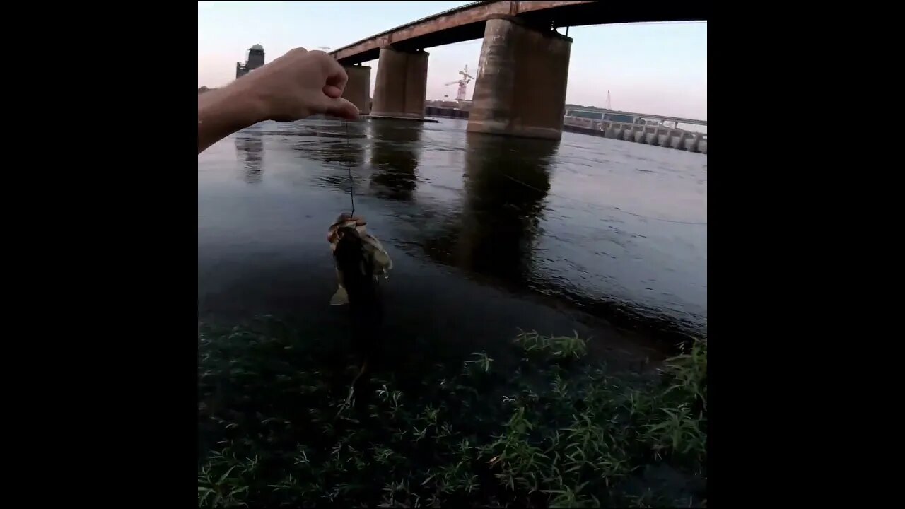 Catching a Smallie at night