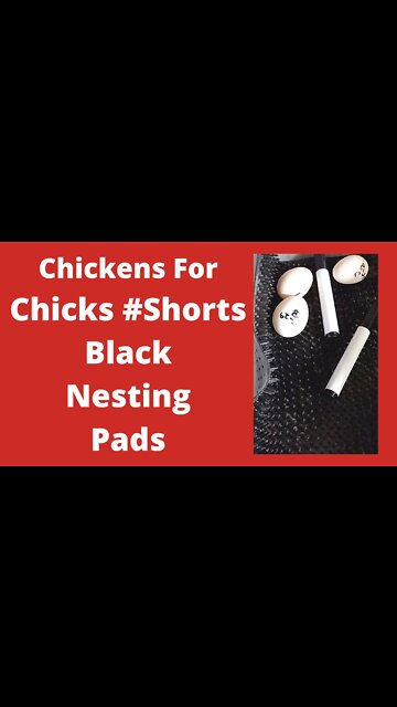 Black Nesting Pads Review #Shorts