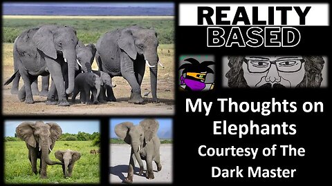 My Thoughts on Elephants (Courtesy of The Dark Master)