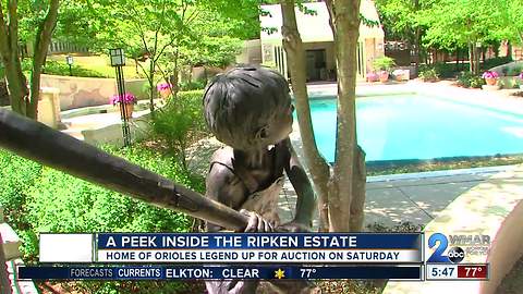 Ripken estate up for auction