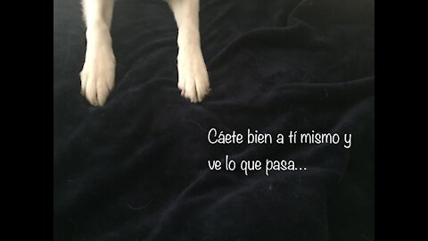 Caerse Bien a Uno Mismo