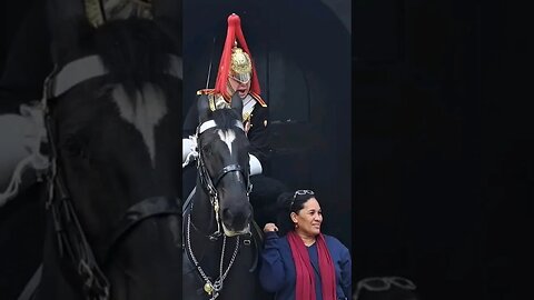 Another rein tourist #horseguardsparade