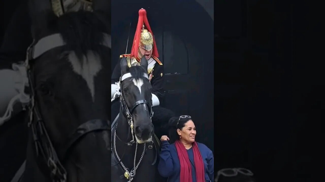 Another rein tourist #horseguardsparade