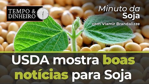 USDA mostra boas notícias para Soja