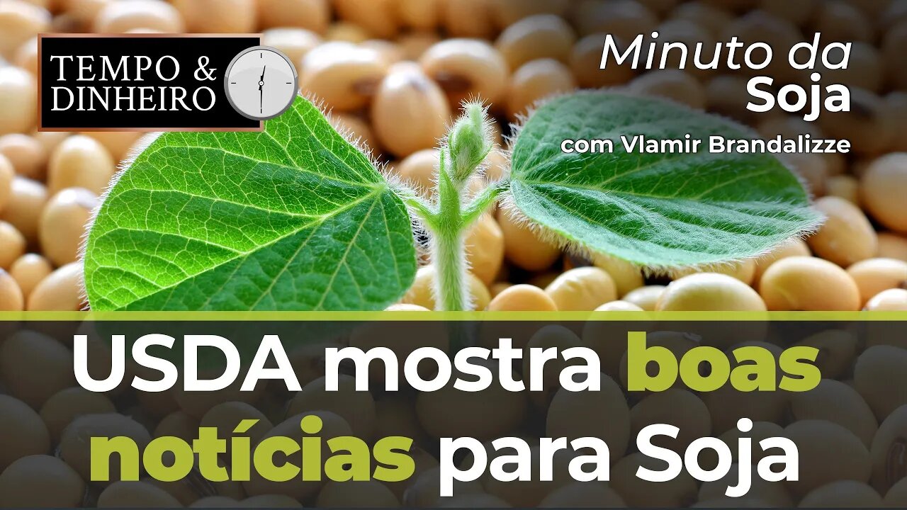 USDA mostra boas notícias para Soja