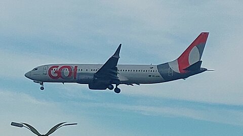 Boeing 737 MAX 8 PR-XMB coming from Guarulhos to Manaus