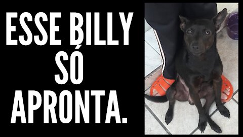 Billy Aprontou Mais Uma...kkkkkk