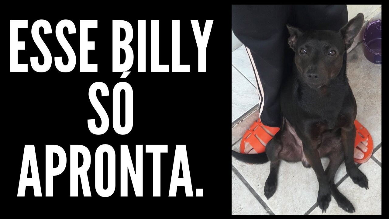 Billy Aprontou Mais Uma...kkkkkk