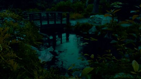 Nature, rain and sound sleep. Природа, дощ ы мыцний сон.