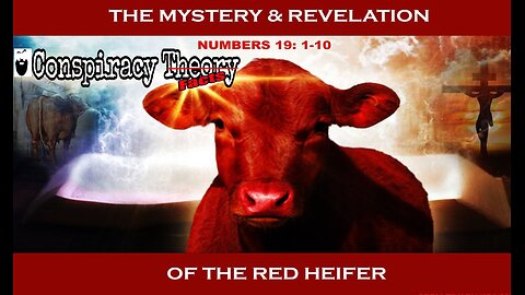 Red Heifer