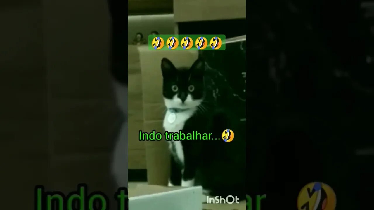 Segunda-feira chegou 🙀🙀