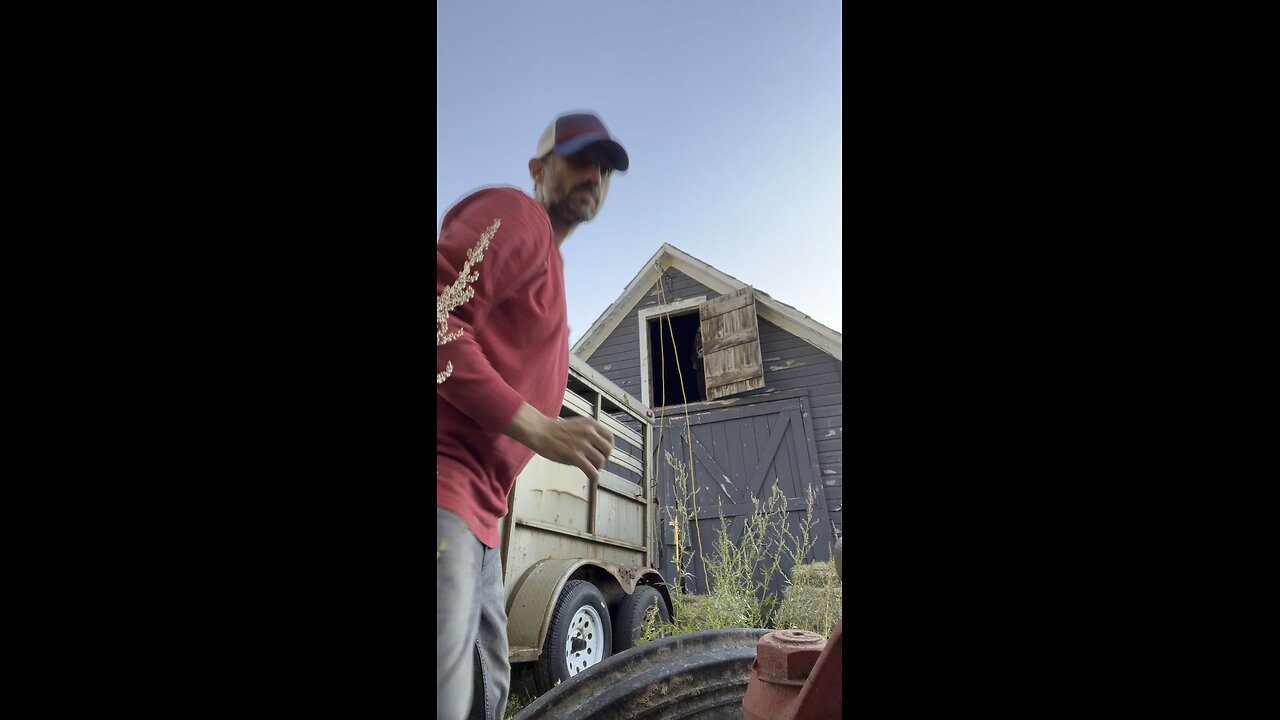 This is the way we haul the hay