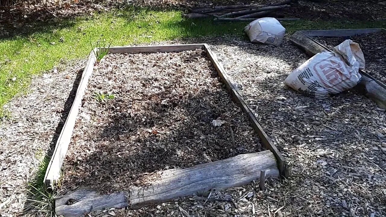 Early spring Permaculture Food Forest update video - busy busy busy