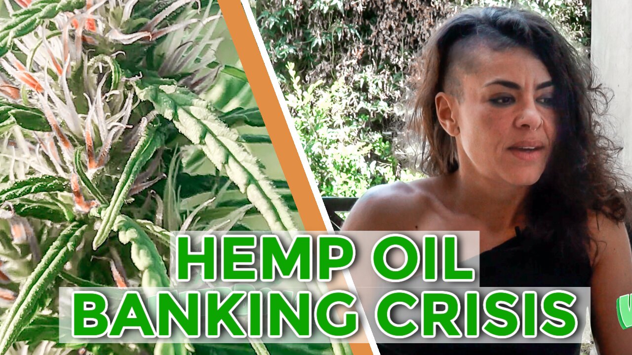 CANNABIS BANKING CRISIS || Interview Featuring Maryam Henein