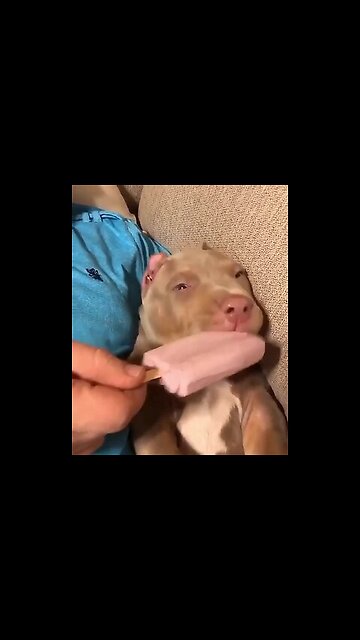 I haven’t woken up yet, but I’m going to eat right away 😂