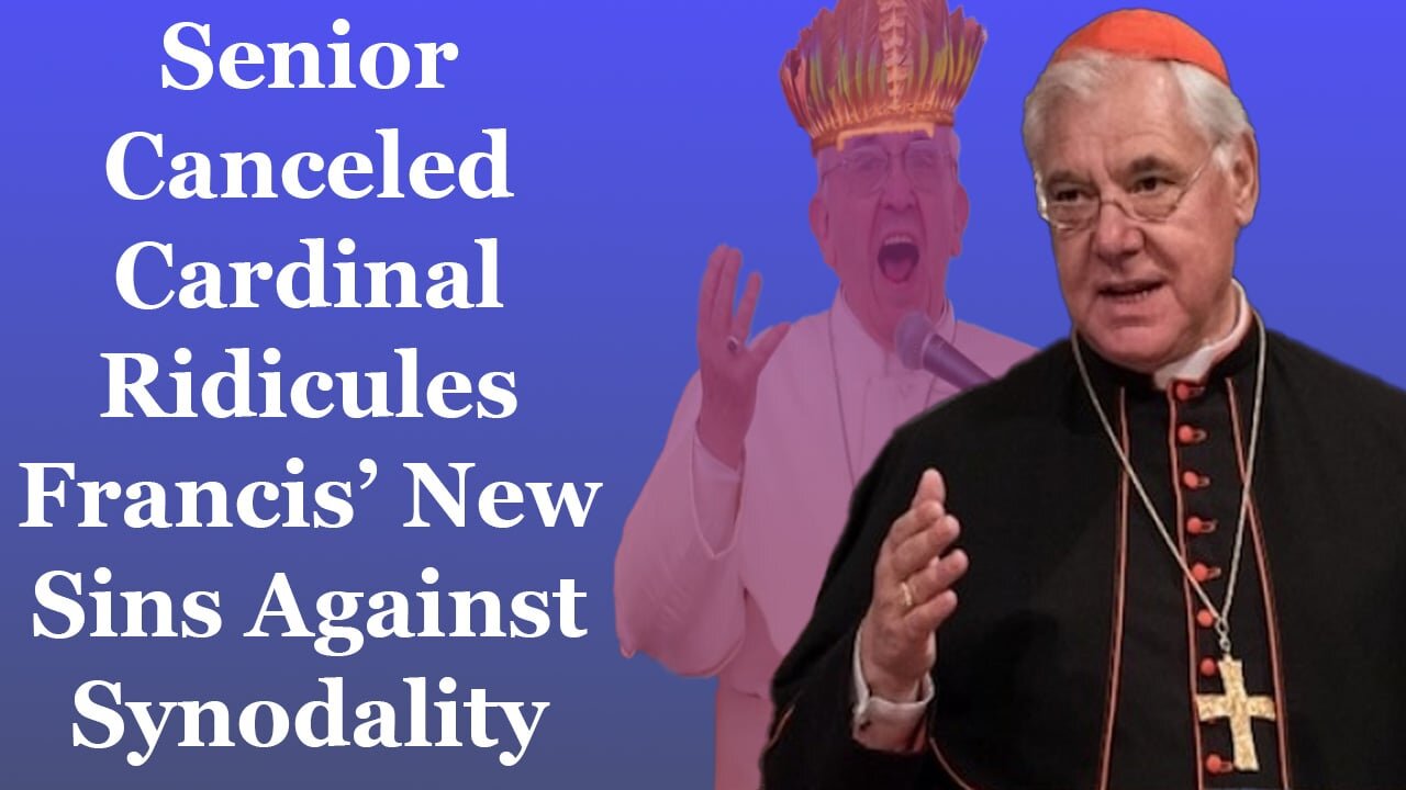 Canceled Cardinal Ridicules Francis' New Sins Against Synodality