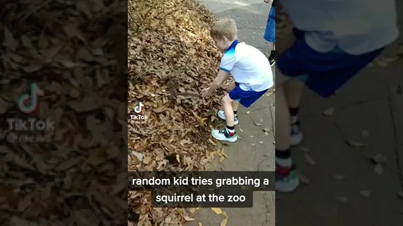 Kid Tries to Pick Up a Squirrel at the Zoo